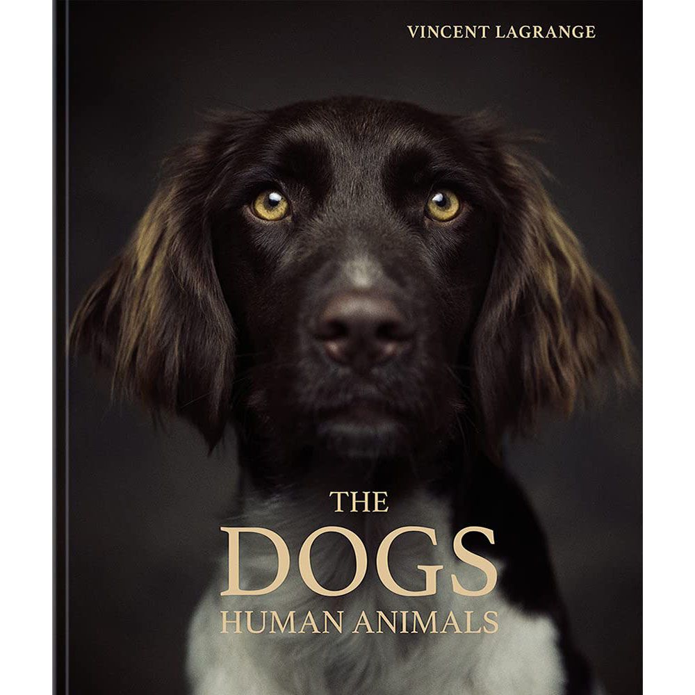 Dogs: Human Animals