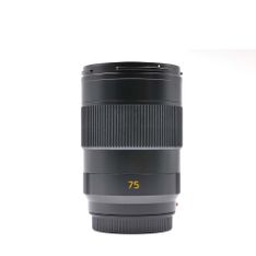 primary-image