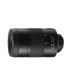 primary-image